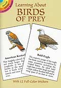 Learning About Birds of Prey - Booklet