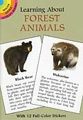Learning About Forest Animals - Booklet