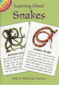 Learning About Snakes - Booklet