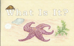 What Is It? - "God