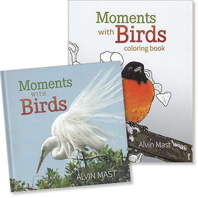 Moments with Birds - Set
