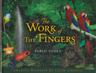 The Work of Thy Fingers