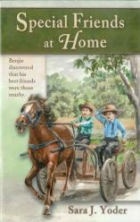 Special Friends at Home - Book