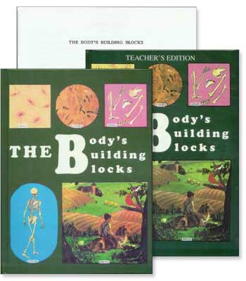 Grades 5-6 Health - The Body's Building Blocks - Set