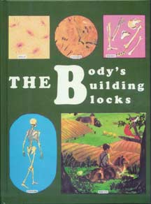Grades 5-6 Health - The Body's Building Blocks - Pupil Workbook