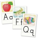 Grade 1 Alphabet Picture Cards [3rd Ed]