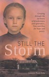 Still the Storm